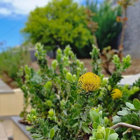 Hébergement de vacances Capela's House By Lovelystay Ribeira Brava