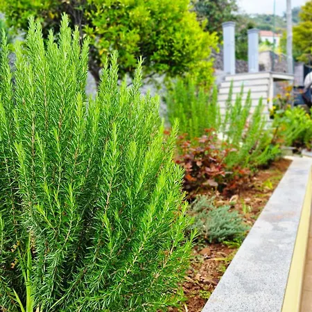 Capela's House By Lovelystay *