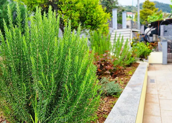 Capela's House By Lovelystay *